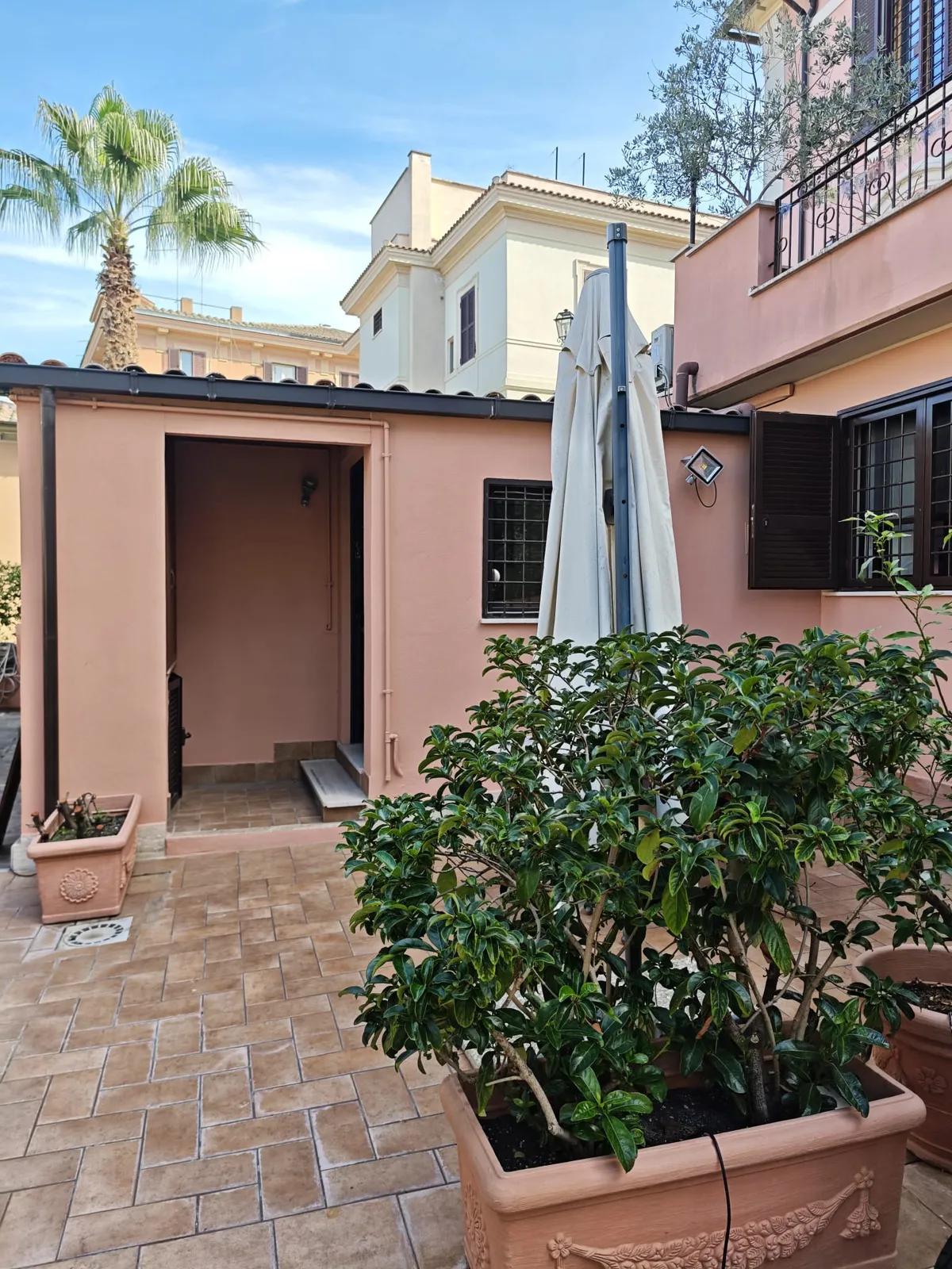 Il cortile visto verso la casa, con la palma sullo sfondo