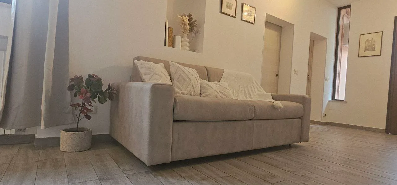 Il divano letto del soggiorno con le piante e i quadri